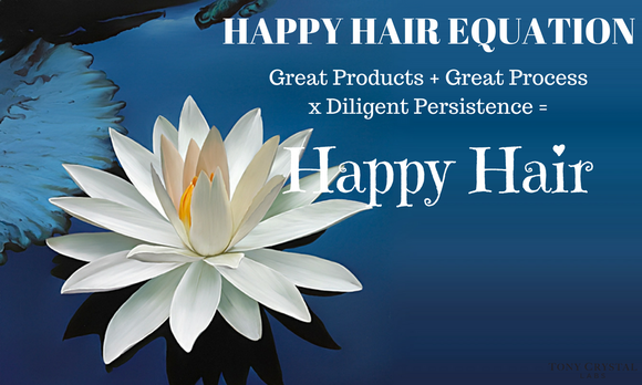 Natural Hair E-Course Part 3: Happy Hair Secrets